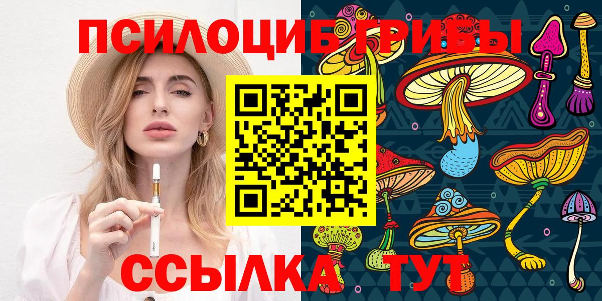 Бердск  Псилоцибиновые грибы мухоморы  Вход с VPN 