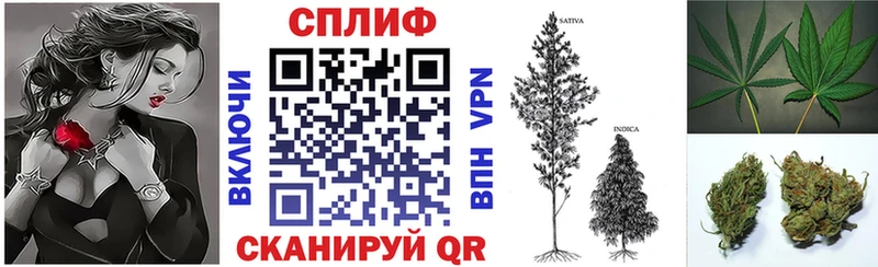 Марихуана план  Бердск 